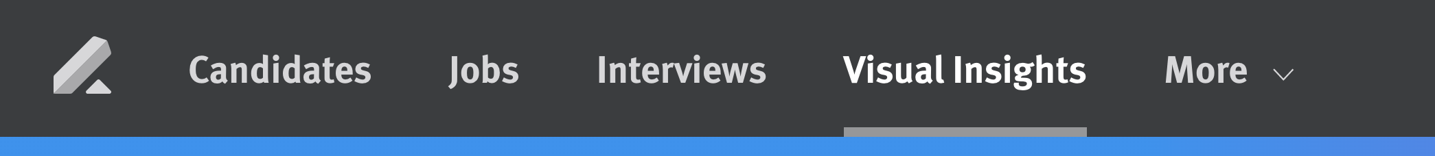 Visual Insights: Talent Leader Summary dashboard